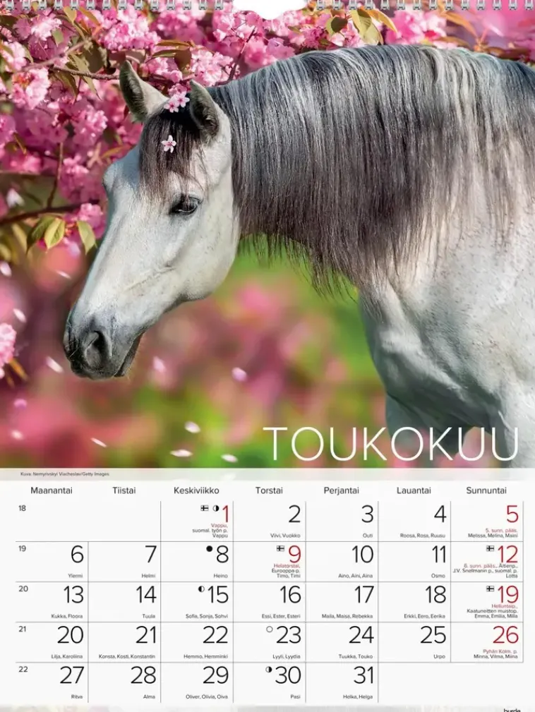 Burde Kalenterit>Seinakalenteri 2024 Hevoset
