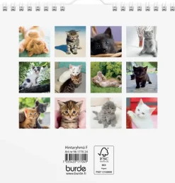 Burde Kalenterit><noscript><img width=