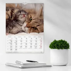 Burde Kalenterit><noscript><img width=