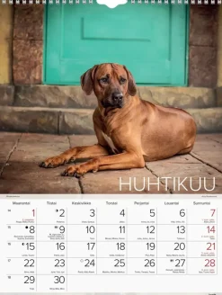Burde Kalenterit>Seinakalenteri 2024 Koirat