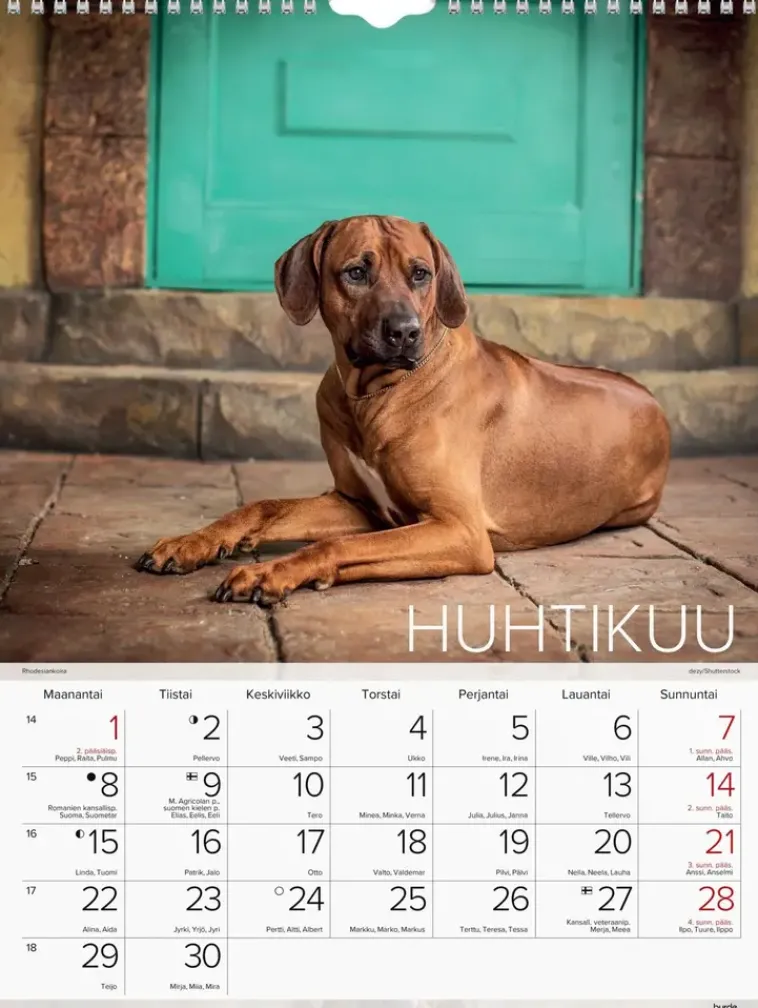 Burde Kalenterit>Seinakalenteri 2024 Koirat