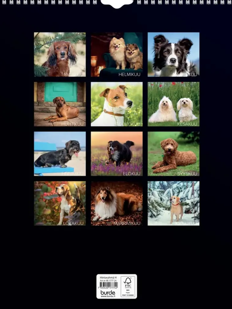 Burde Kalenterit>Seinakalenteri 2024 Koirat