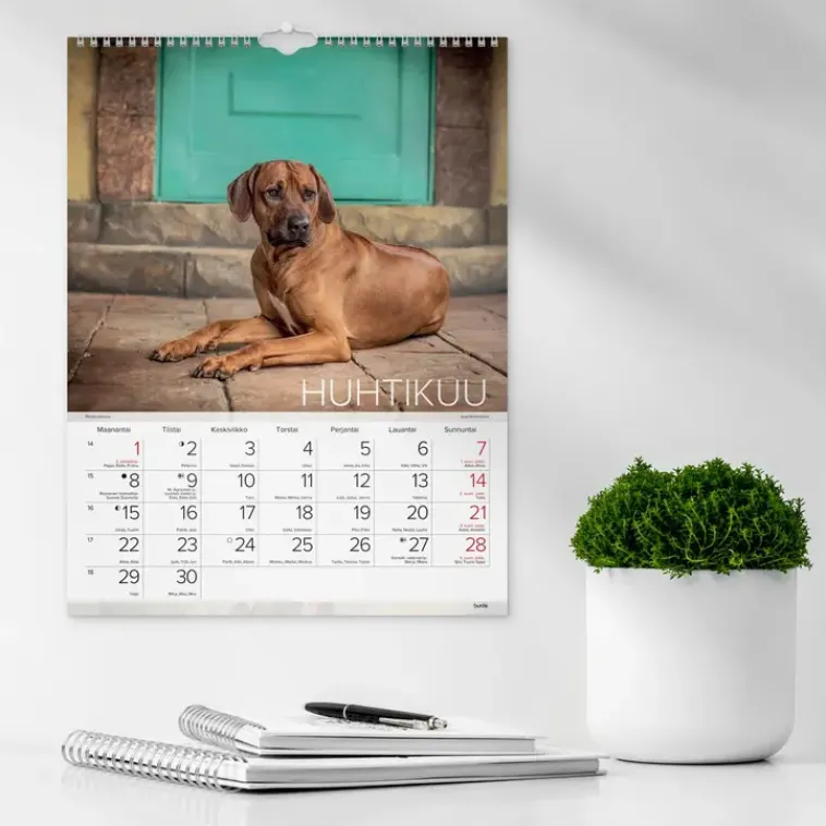 Burde Kalenterit>Seinakalenteri 2024 Koirat
