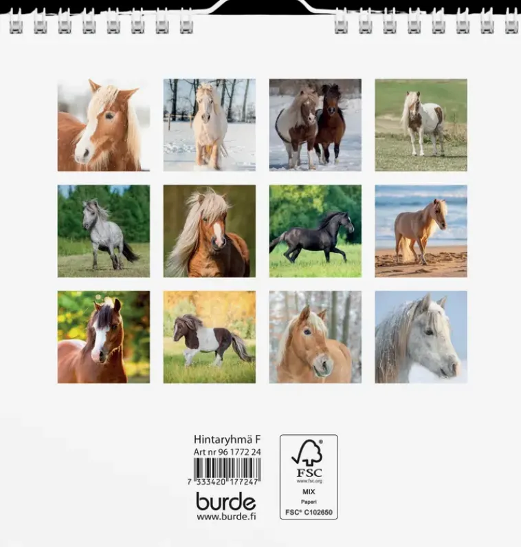 Burde Kalenterit>Seinakalenteri 2024 Ponit