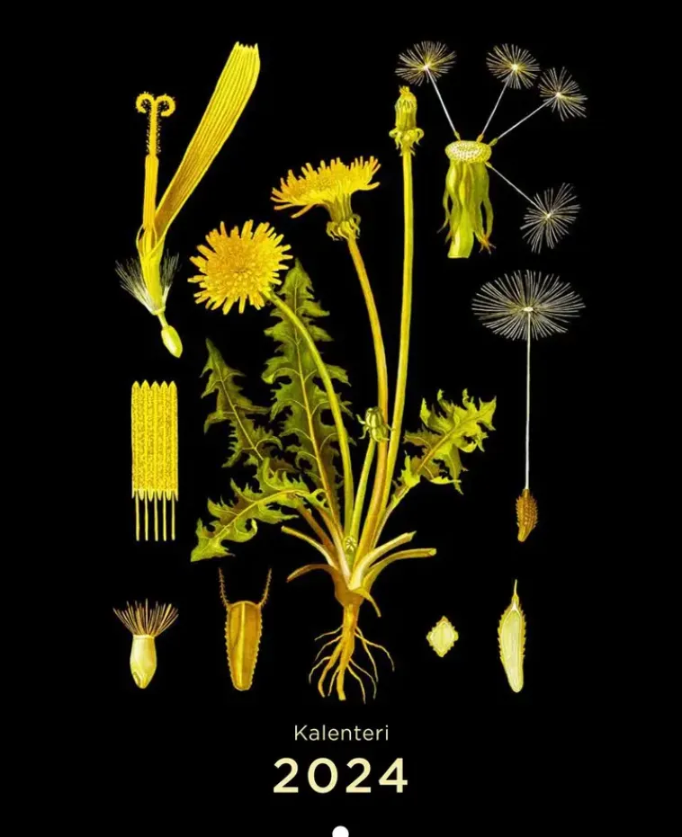 Otava Kalenterit>Ebba Masalin Seinakalenteri 2024