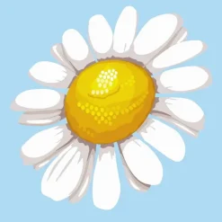 Figured’Art Askartelutarvikkeet<Figuredart Mini Numeromaalaus Kukka