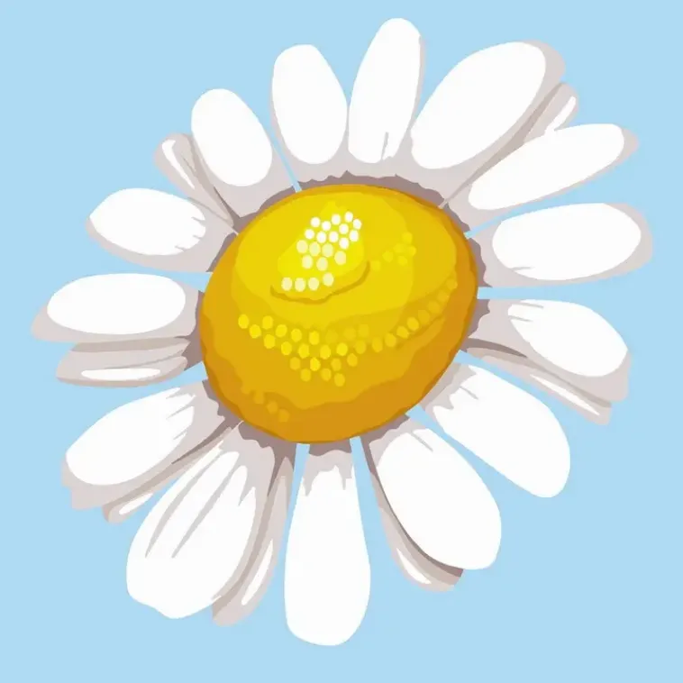 Figured’Art Askartelutarvikkeet<Figuredart Mini Numeromaalaus Kukka