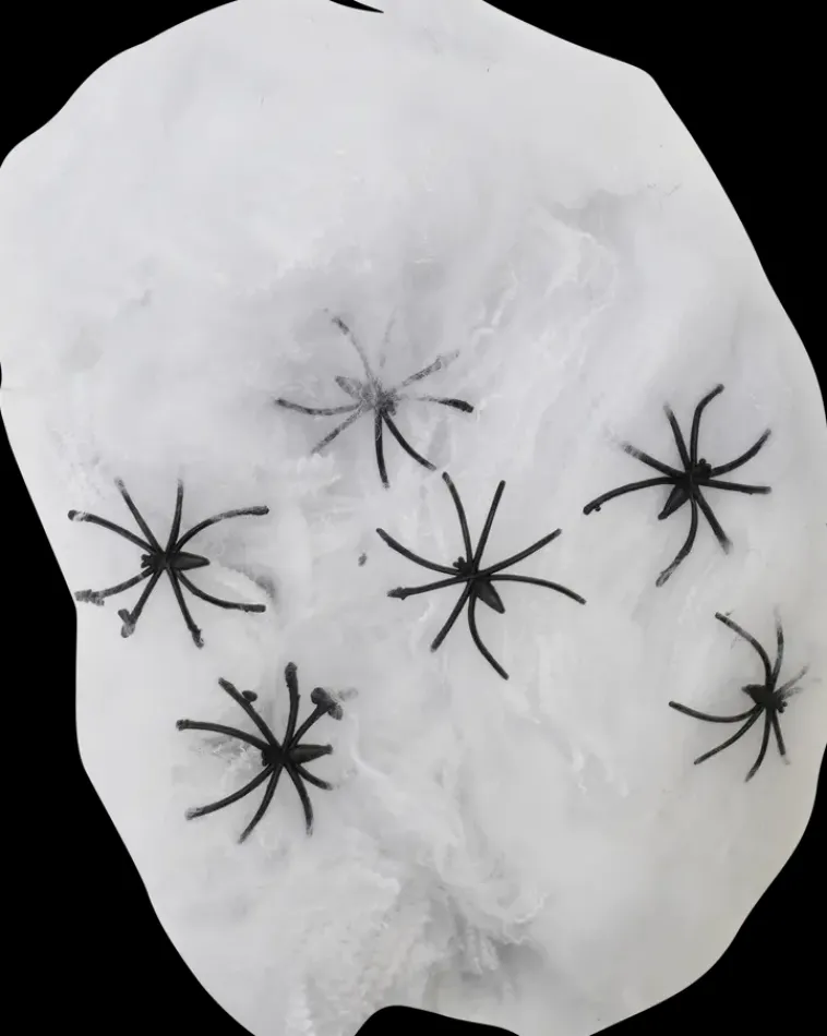 NNX Sesonkijuhlatarvikkeet>Halloween-Koristeverkko 60 G Ja 6 Hamahakkia