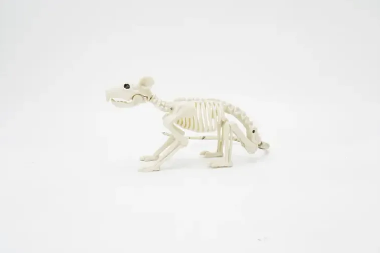 NNX Sesonkijuhlatarvikkeet>Halloween-Poytakoriste Hiiren Luuranko 38 Cm