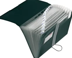 Herlitz Paperitarvikkeet>Haitarikansio 12-Osainen Easy Orga Musta