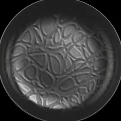 House Astiat>Syva Lautanen Capri 20 Cm