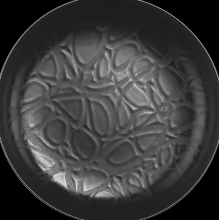 House Astiat>Syva Lautanen Capri 20 Cm