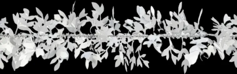 Weiste Sesonkijuhlatarvikkeet>Kapea Lehtipunos Valkoinen 90Mm*2M