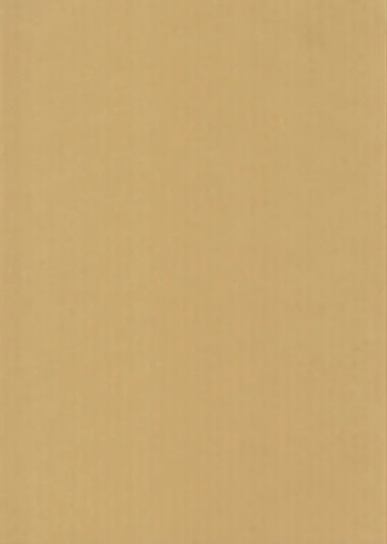 Karto Askartelutarvikkeet>nki Beige 50X70Cm 220Gsm 5Ark/Pss