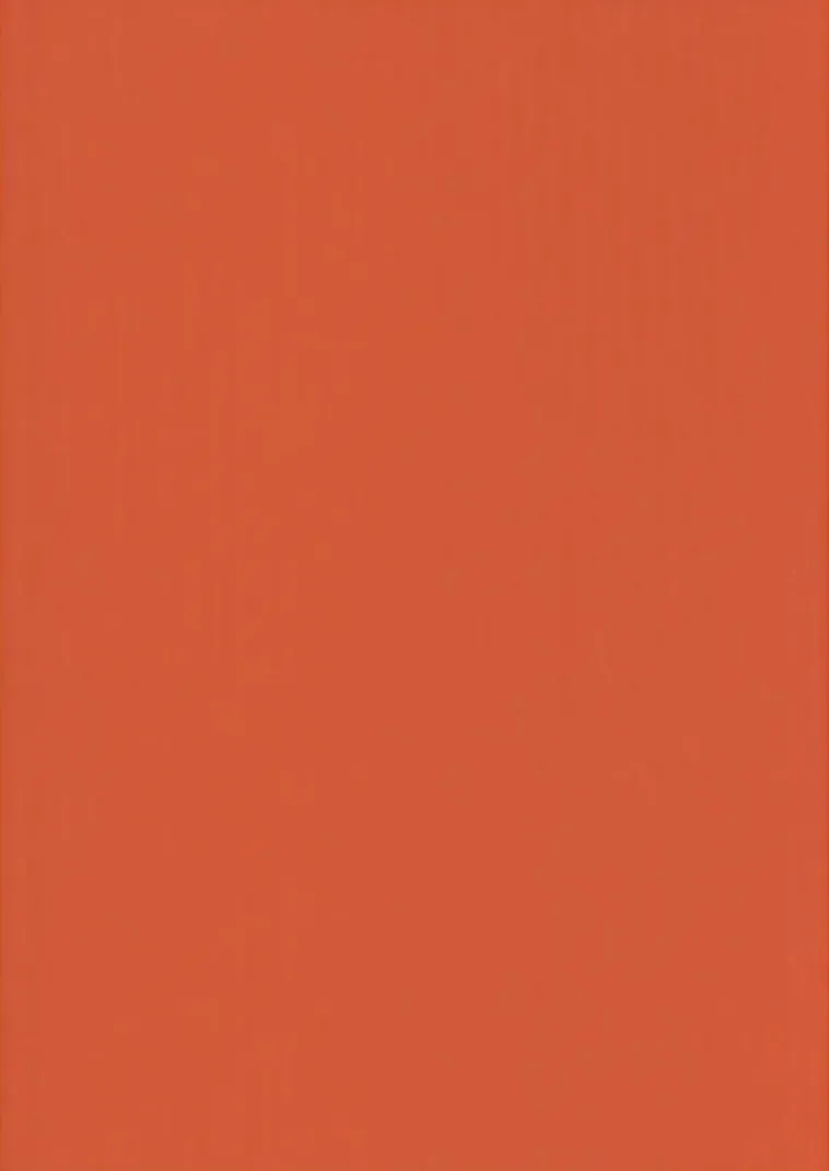 Karto Askartelutarvikkeet>nki Kirkaan Oranssi 50X70Cm 220Gsm 5Ark/Pss