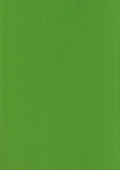 Karto Askartelutarvikkeet>nki Kirkkaan Vihrea 50X70Cm 220Gsm 5Ark/Pss