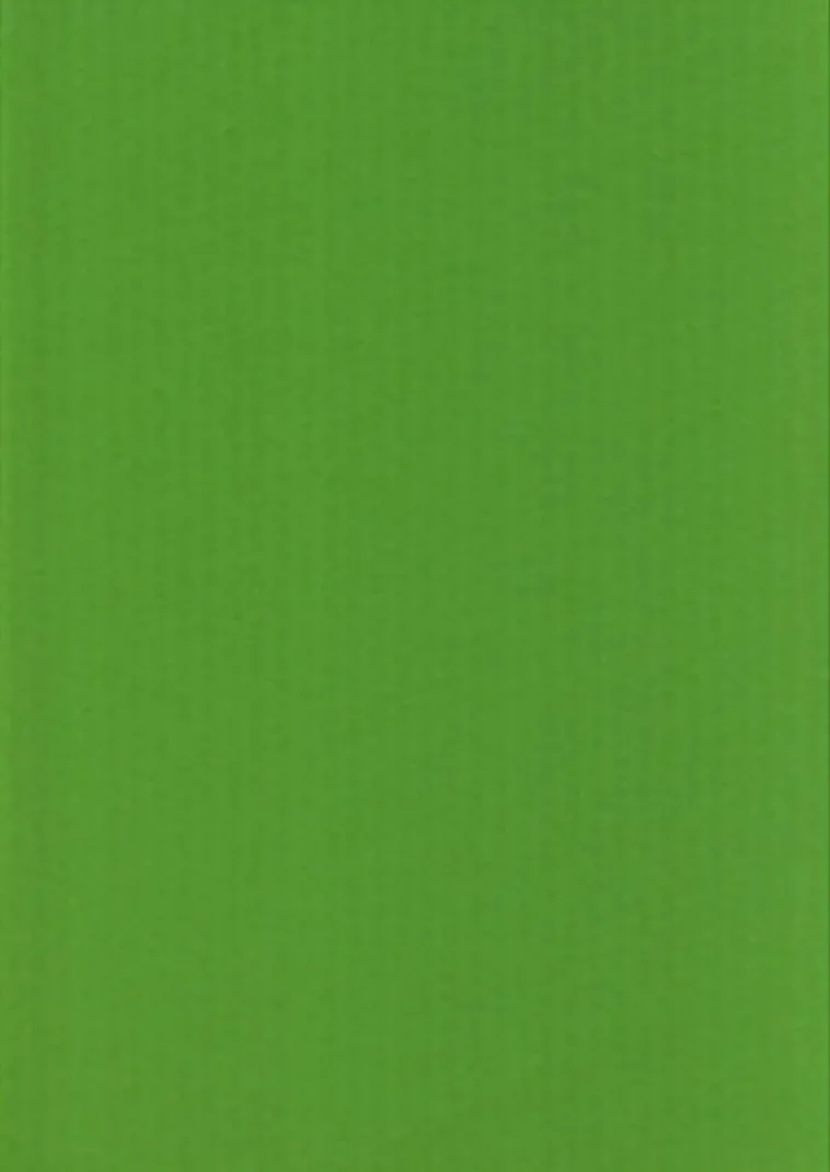 Karto Askartelutarvikkeet>nki Kirkkaan Vihrea 50X70Cm 220Gsm 5Ark/Pss