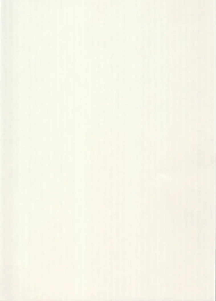 Karto Askartelutarvikkeet<nki Luonnonvalkoinen 50X70Cm 220Gsm 5Ark/Pss