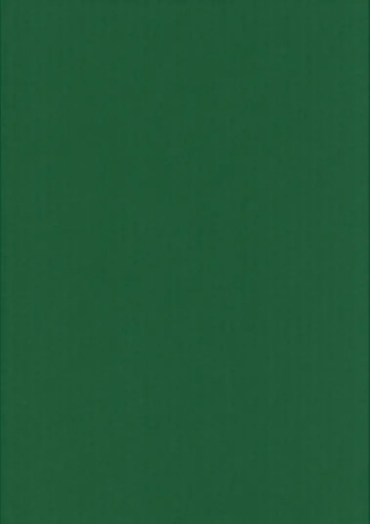 Karto Askartelutarvikkeet<nki Ruohon Vihrea 50X70Cm 220Gsm 5Ark/Pss