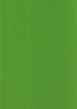 Karto Askartelutarvikkeet>Kortti Kirkkaan Vihrea 10X15Cm 220Gsm 10Kpl/Pkt