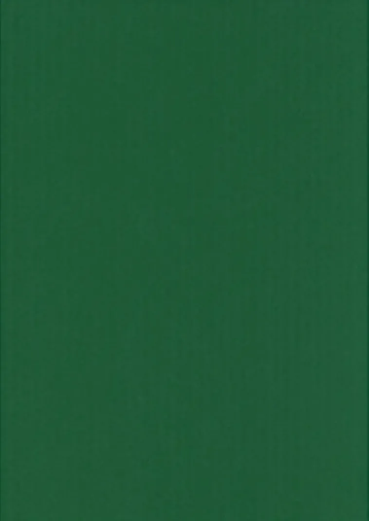 Karto Askartelutarvikkeet<Kortti Ruohonvihrea 10X15Cm 220Gsm 10Kpl/Pss