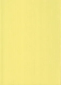 Karto Askartelutarvikkeet<Kortti Vaaleankeltainen 10X15Cm 220Gsm 10Kpl/Pkt