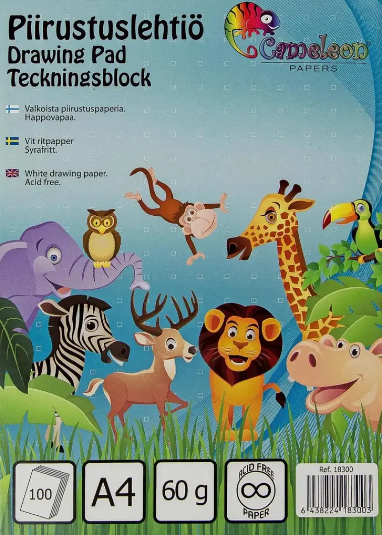 Karto Paperitarvikkeet>Piirustuslehtio A4/100