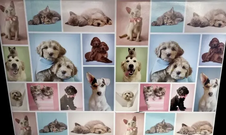 Disney Toimistotarvikkeet>Kirjoitusalusta 40 X 60 Cm