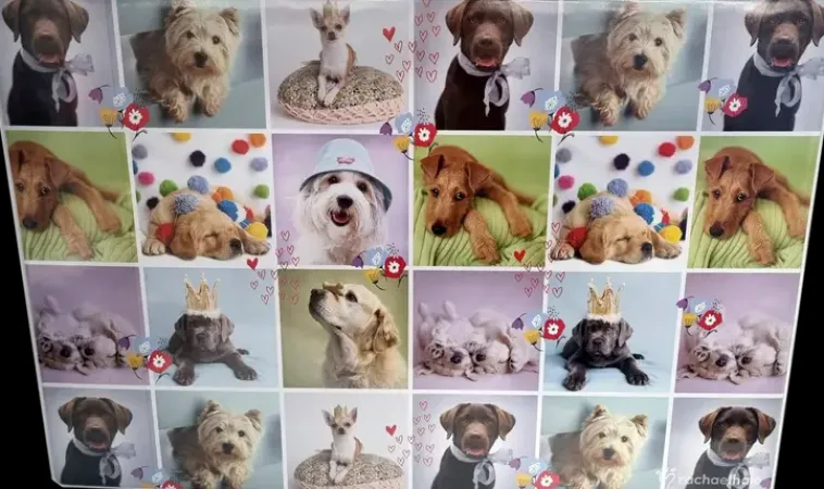 Disney Toimistotarvikkeet>Kirjoitusalusta 40 X 60 Cm