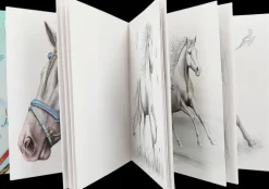 Miss Melody Askartelutarvikkeet<Special Varityskirja