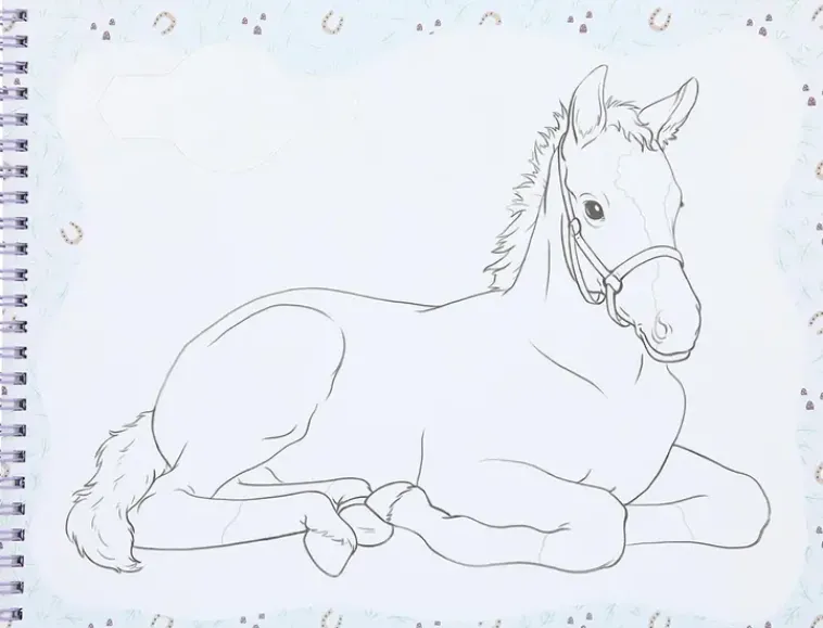 Miss Melody Askartelutarvikkeet>Varityskirja