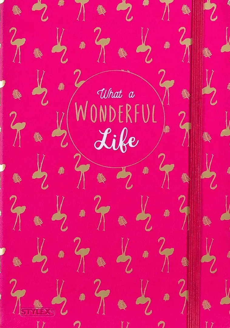 Stylex Paperitarvikkeet>Muistikirja 21X14,5 Cm Lajit.