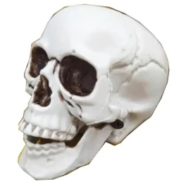 NNX Sesonkijuhlatarvikkeet>Paakallo 13Cm