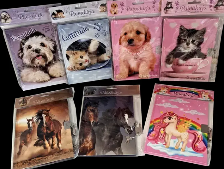 Ei merkkiä Paperitarvikkeet>Paivakirja Lukolla, Lajitelma