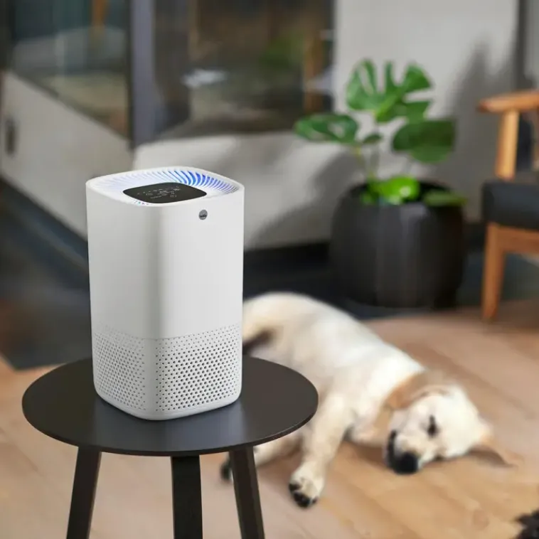 Wilfa Ilmastointi Ja Huoneilma<Ap-100Cw Ilmanpuhdistin